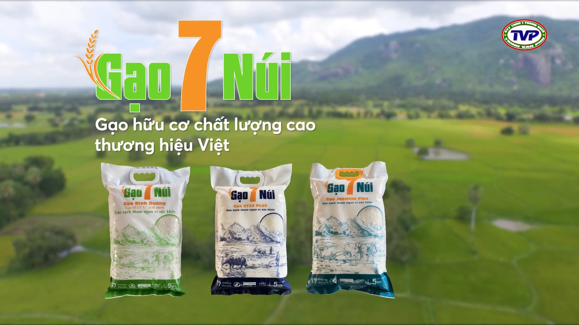 Gạo 7 Núi - Cty Trịnh Văn Phú